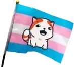 :marseytransflag: emoji