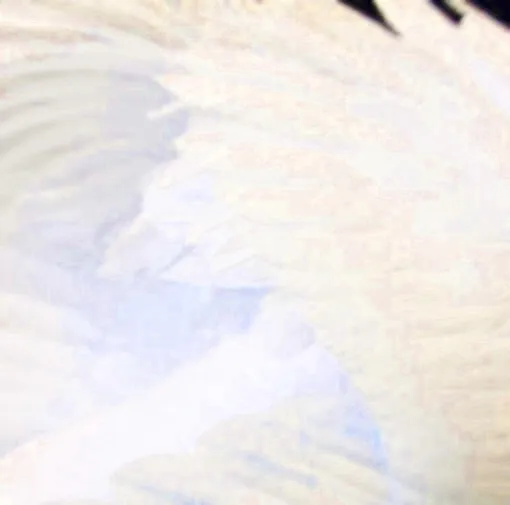 @SapphireAngel's banner